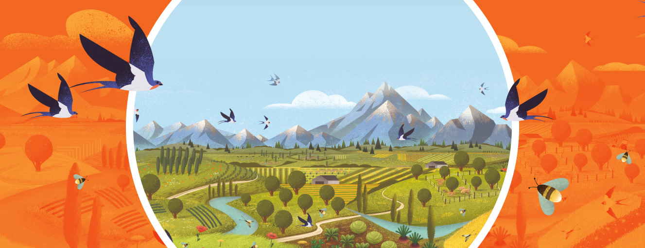 Illustration of farm landscape